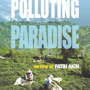 Polluting Paradise photo 12