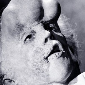 the elephant man 1980