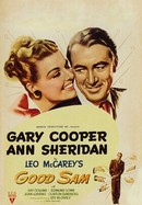 Good Sam poster image