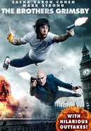 The Brothers Grimsby With Hilarious Outtakes poster image
