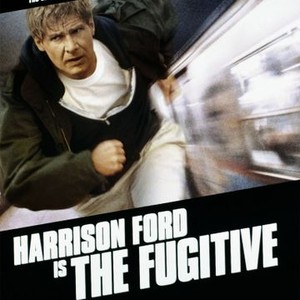 The Fugitive (1993) photo 1