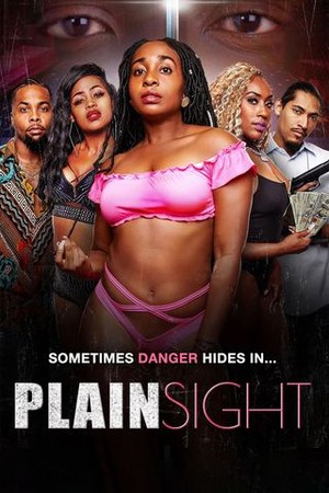 Plain Sight poster