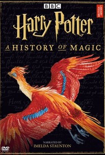 Harry Potter: Journey Through a History of Magic