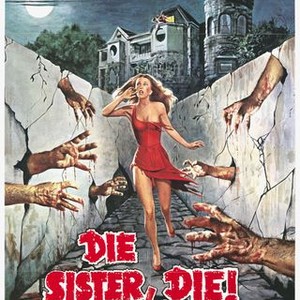The Companion (1976) photo 5