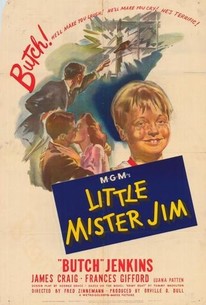 Poster for Little Mister Jim