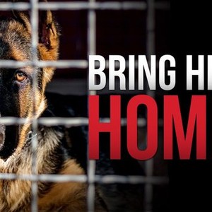 Youtube music bring him home Youtube music bring him home