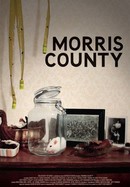Morris County poster image