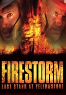 Firestorm: Last Stand at Yellowstone poster image