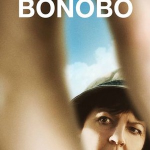 Bonobo photo 11