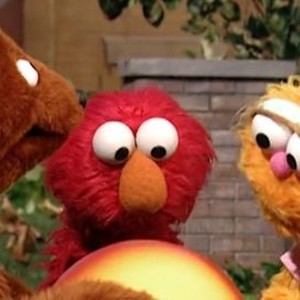 Sesame Street: Season 36, Episode 17 - Rotten Tomatoes