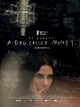 A Dog Called Money