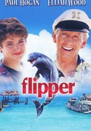 Flipper poster image