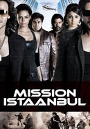 Mission Istanbul poster image