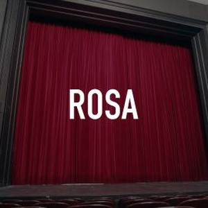 Rosa photo 4