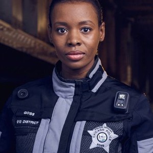 Tamberla Perry as Officer Tasha Goss