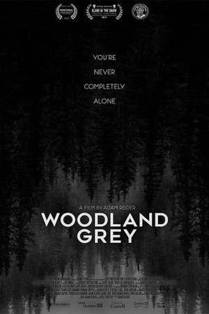 Woodland Grey poster