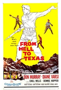 Poster for From Hell to Texas