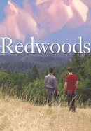 Redwoods poster image