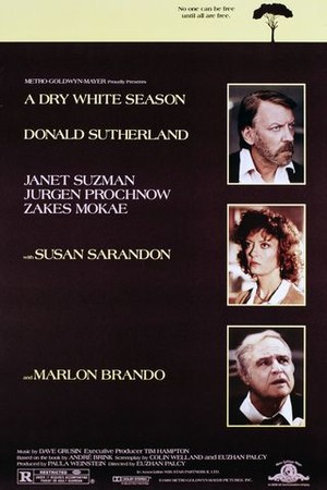 A Dry White Season poster
