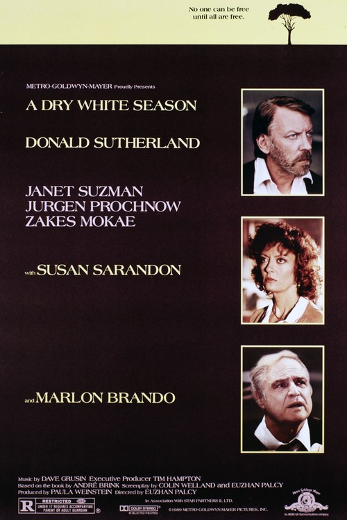 A Dry White Season poster