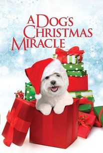 My Dog's Christmas Miracle