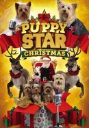 Puppy Star Christmas poster image