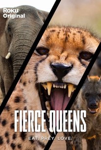 Fierce Queens: Season 1 poster image