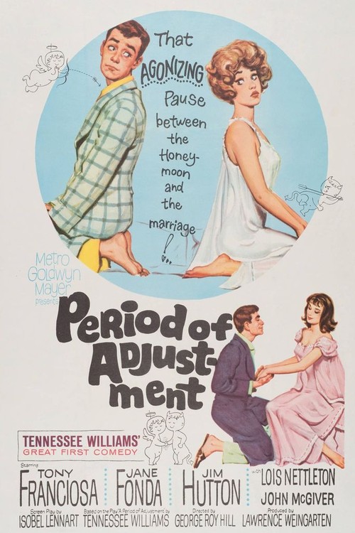 Period of Adjustment poster
