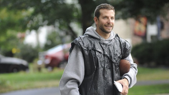 Silver linings playbook netflix store