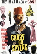 Carry on Spying poster image