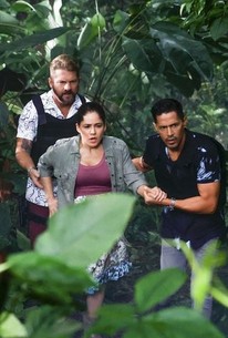 Magnum P.I.: Season 4, Episode 4 - Rotten Tomatoes