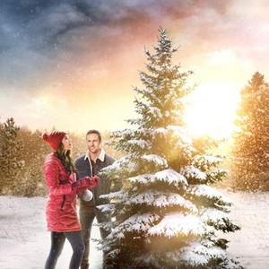 The Christmas Promise photo 2