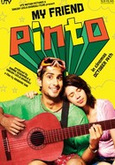 My Friend Pinto poster image