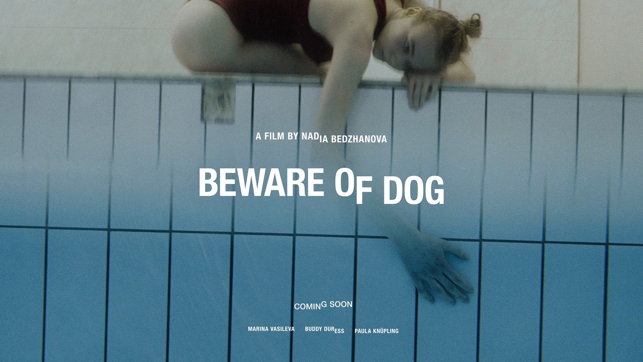 Beware of Dog Rotten Tomatoes