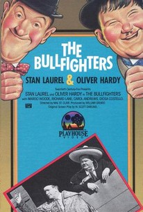 The Bullfighters