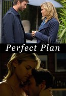 Perfect Plan poster image