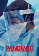 Pandemic: How to Prevent an Outbreak poster image