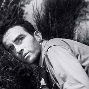 The Young Lions (1958)