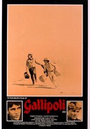Gallipoli poster image