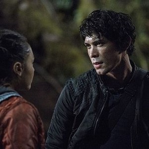 The 100 - Rotten Tomatoes