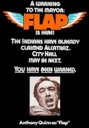 Flap poster image