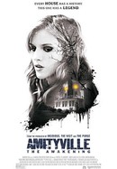 Amityville: The Awakening poster image