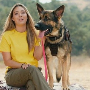 Top dog: Season 2, Episode 7 - Rotten Tomatoes