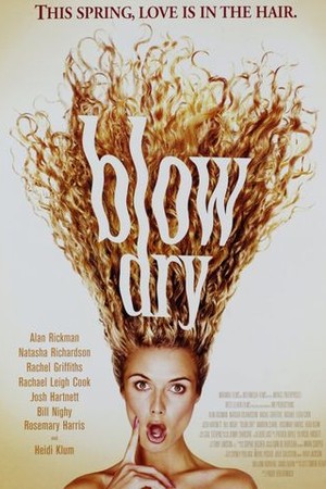 Blow Dry poster