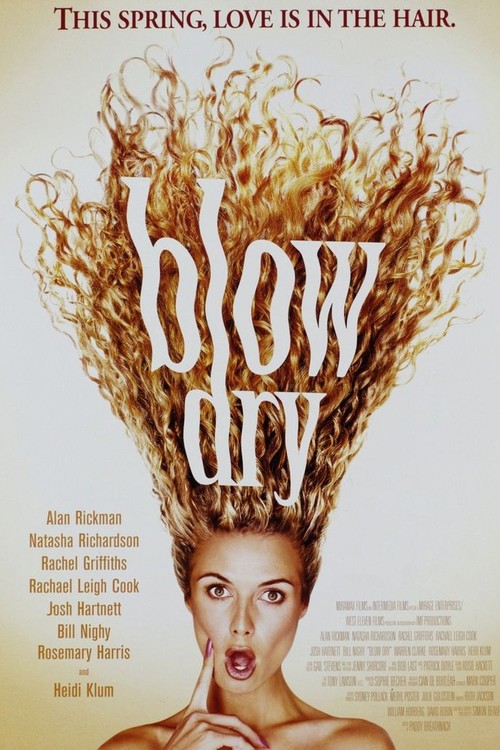 Blow Dry poster