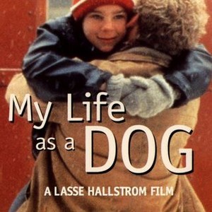 My Life as a Dog (1985) photo 9