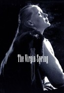 The Virgin Spring poster image
