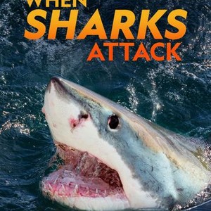 Watch Game of Sharks Streaming Online