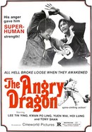 The Angry Dragon poster image