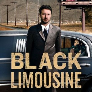 Black Limousine photo 1